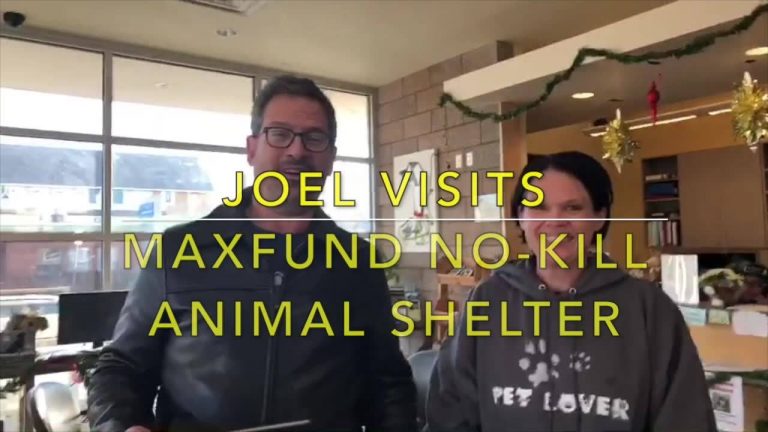 I tried to stream my visit to the MaxFund No-Kill Animal Shelter and Adoption Center in Denver earlier today, but the wifi gave out after just a few minutes. Here’s the entire video shot with Switcher…
